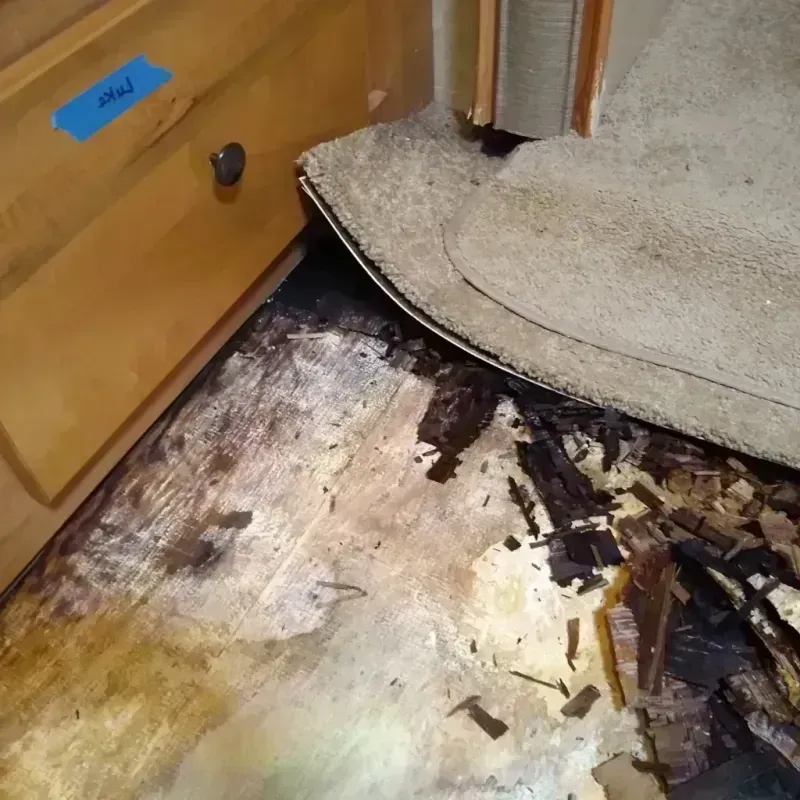 Best Wood Floor Water Damage Service in Plymouth, IN